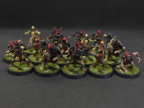 Blood bowl pro painted undead - bowl,