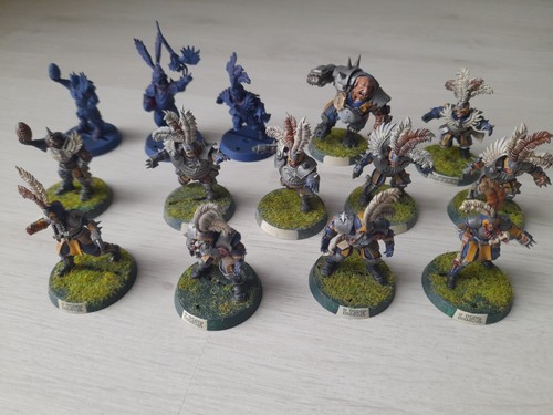 Blood bowl imperial nobility - blood,