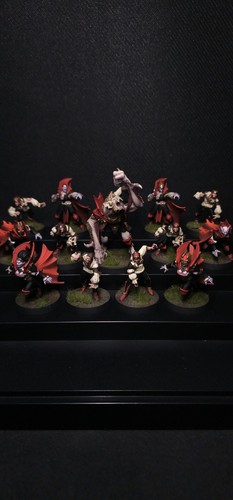 Vampire blood bowl team - blood, bemalt