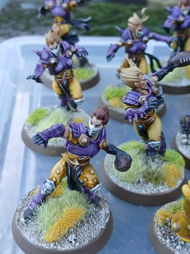 Blood bowl pro elf team - bowl,
