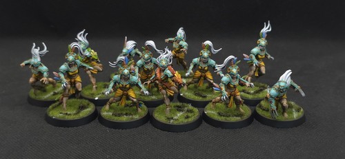 Blood bowl amazon team kara - bowl,